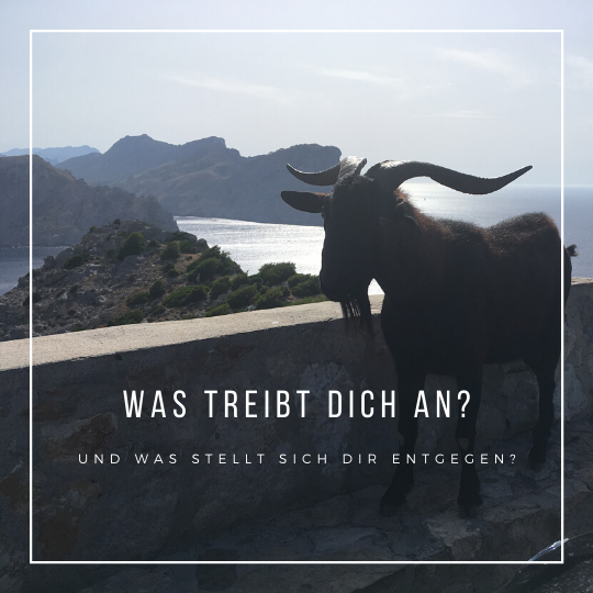 Read more about the article Was treibt dich an?