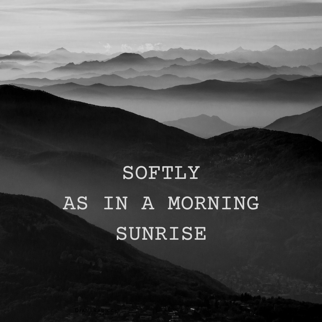 You are currently viewing Softly as in a morning sunrise