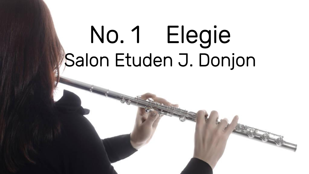 Read more about the article 1 Elegie J. Donjon Etudes de Salon