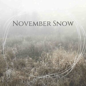 Read more about the article November Snow