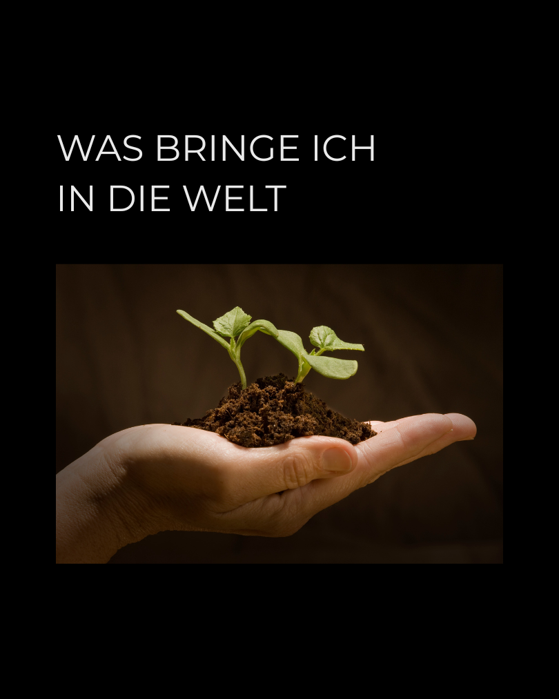 Was bringe ich in die Welt
